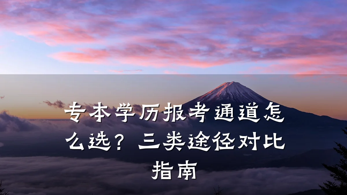 专本学历报考通道怎么选？三类途径对比指南