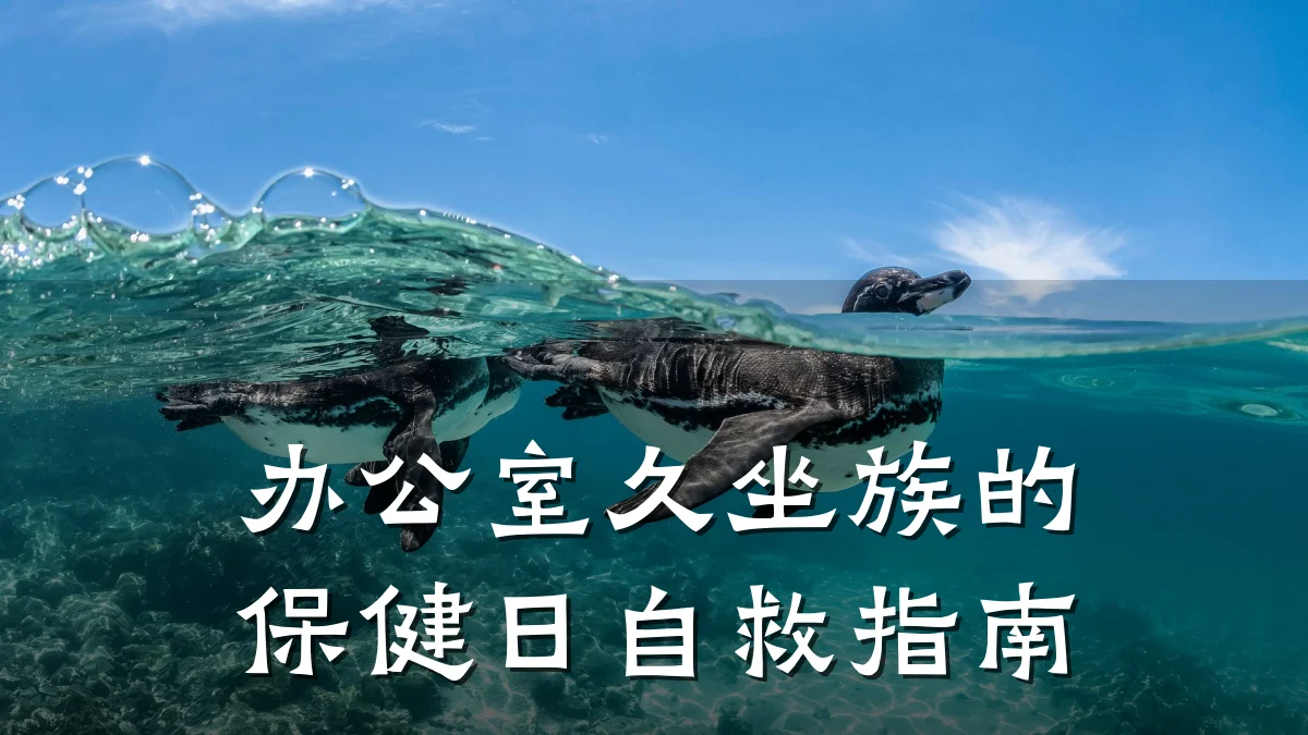 办公室久坐族的保健日自救指南