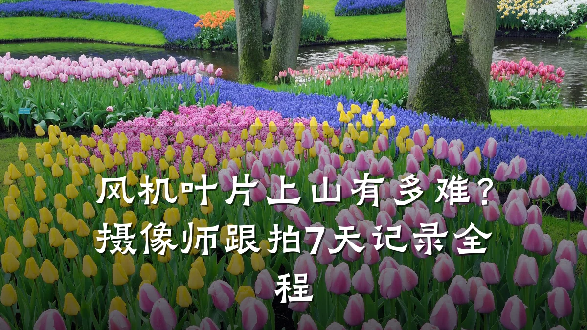 风机叶片上山有多难？摄像师跟拍7天记录全程