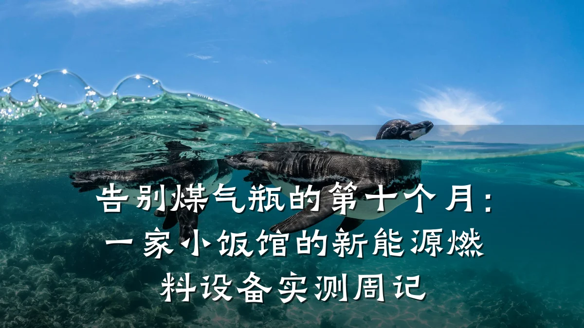 告别煤气瓶的第十个月：一家小饭馆的新能源燃料设备实测周记