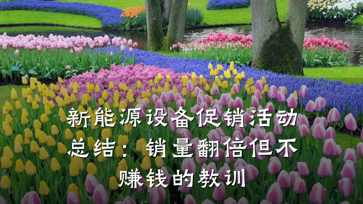新能源设备促销活动总结：销量翻倍但不赚钱的教训