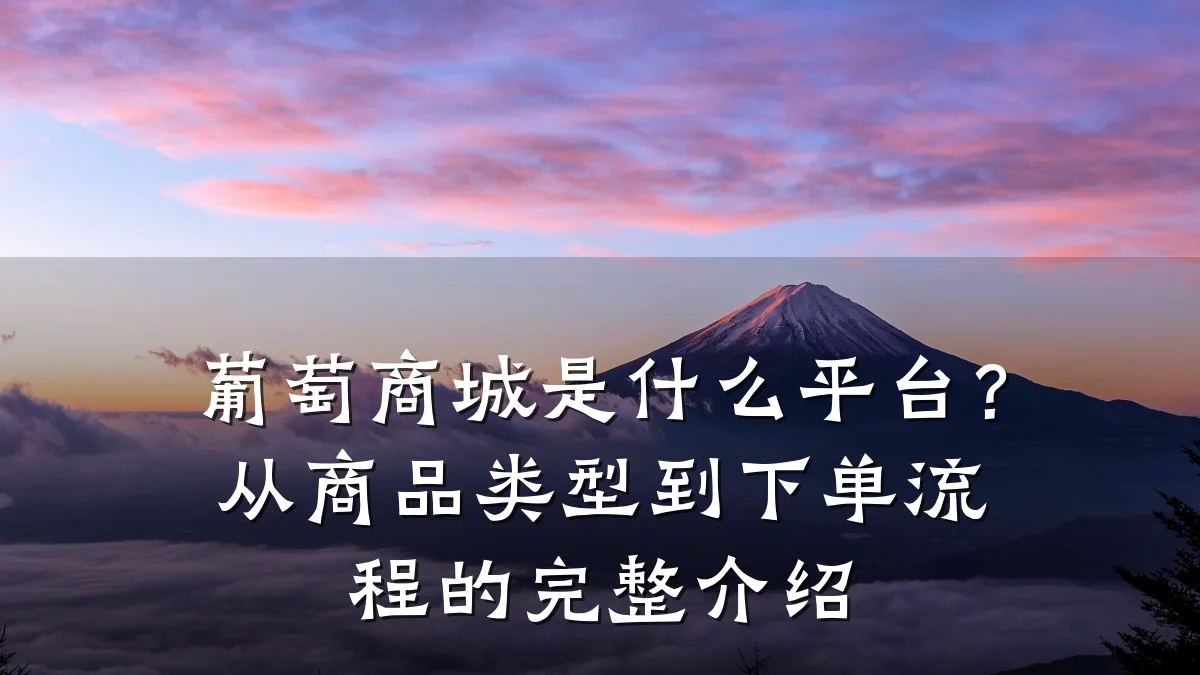 葡萄商城是什么平台?从商品类型到下单流程的完整介绍