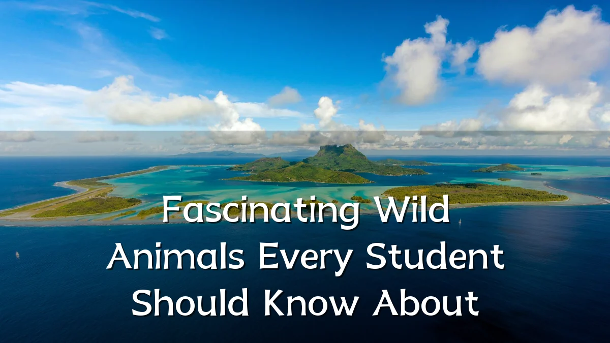 Fascinating Wild Animals Every Student Should Know About