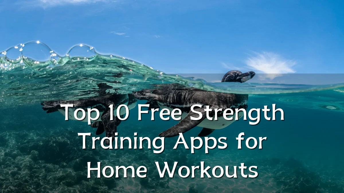 Top 10 Free Strength Training Apps for Home Workouts