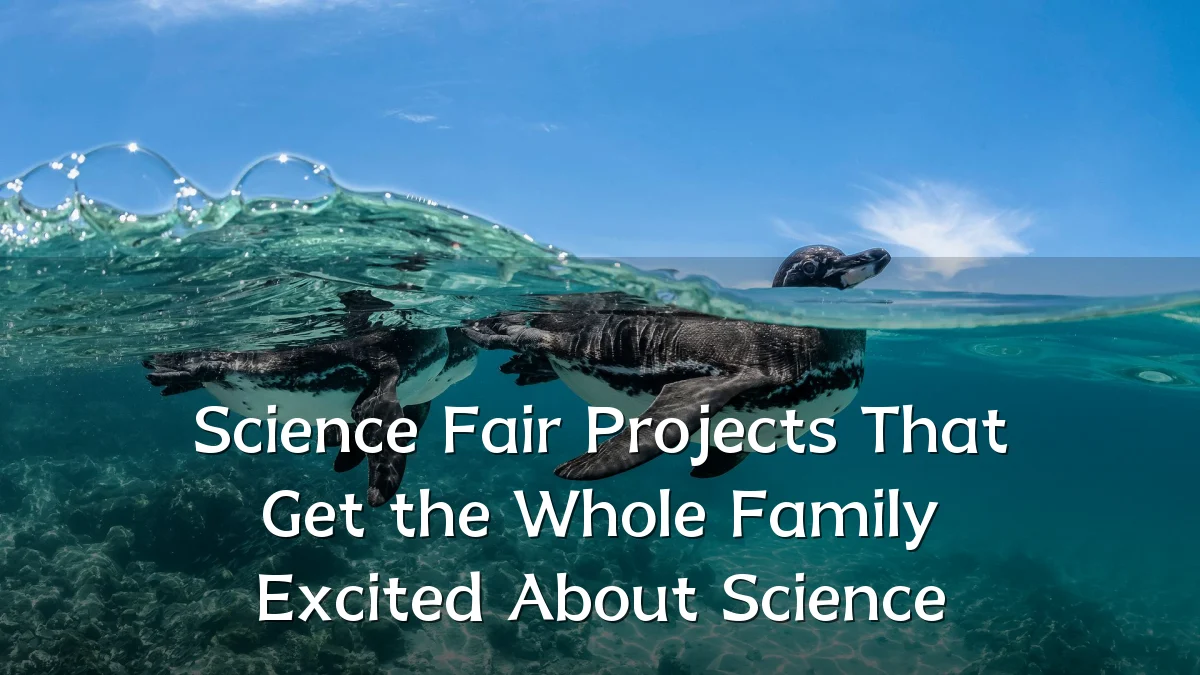 Science Fair Projects That Get the Whole Family Excited About Science
