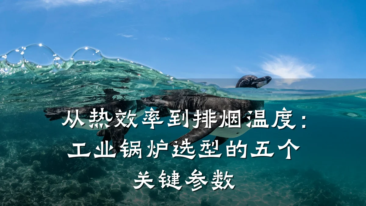 从热效率到排烟温度:工业锅炉选型的五个关键参数