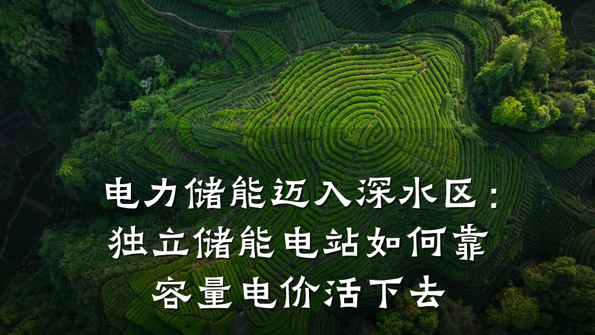 电力储能迈入深水区：独立储能电站如何靠容量电价活下去
