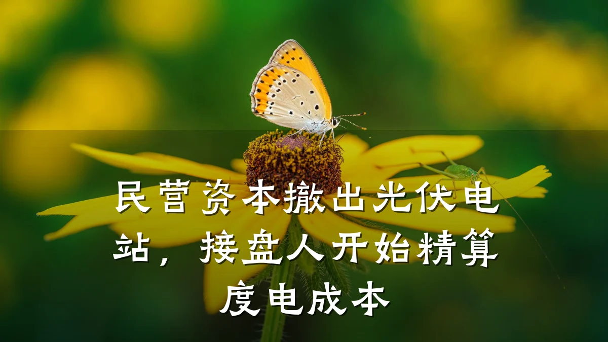 民营资本撤出光伏电站,接盘人开始精算度电成本