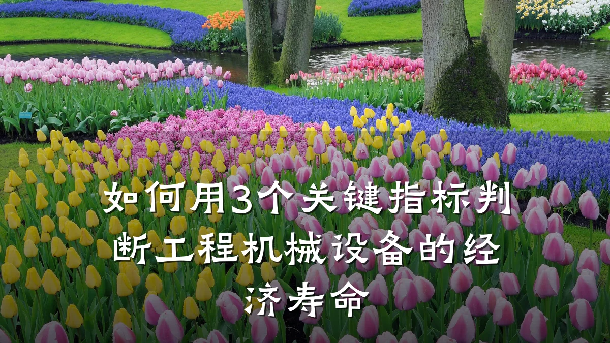 如何用3个关键指标判断工程机械设备的经济寿命