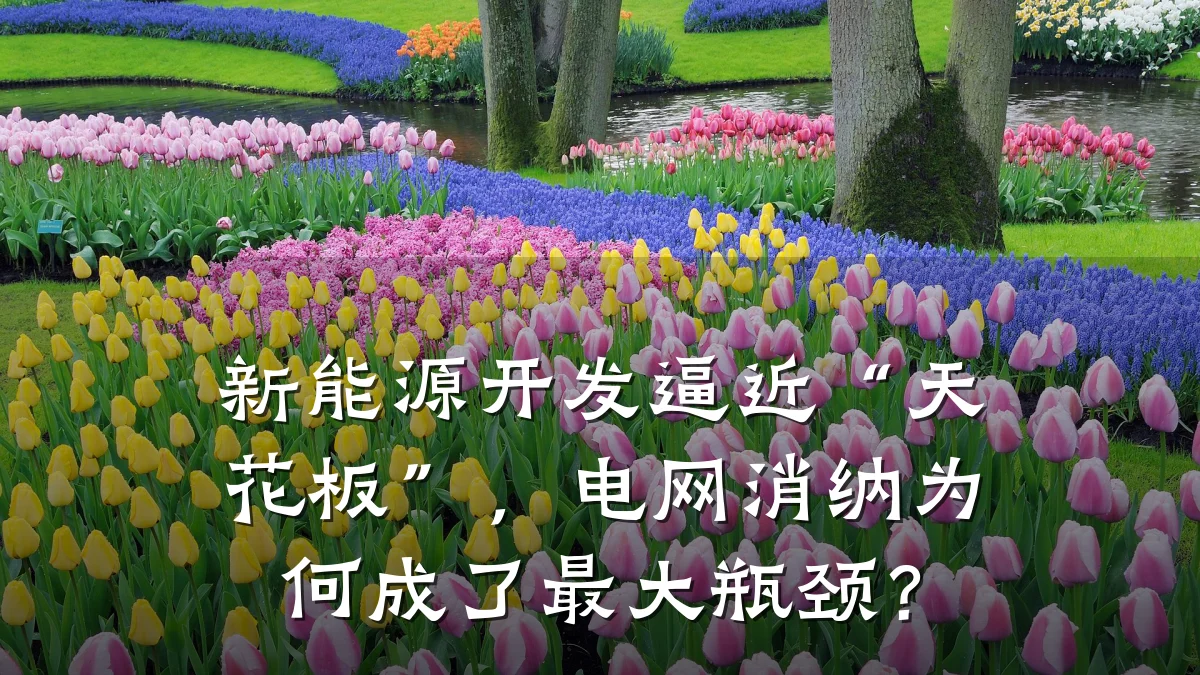 新能源开发逼近“天花板”,电网消纳为何成了最大瓶颈?