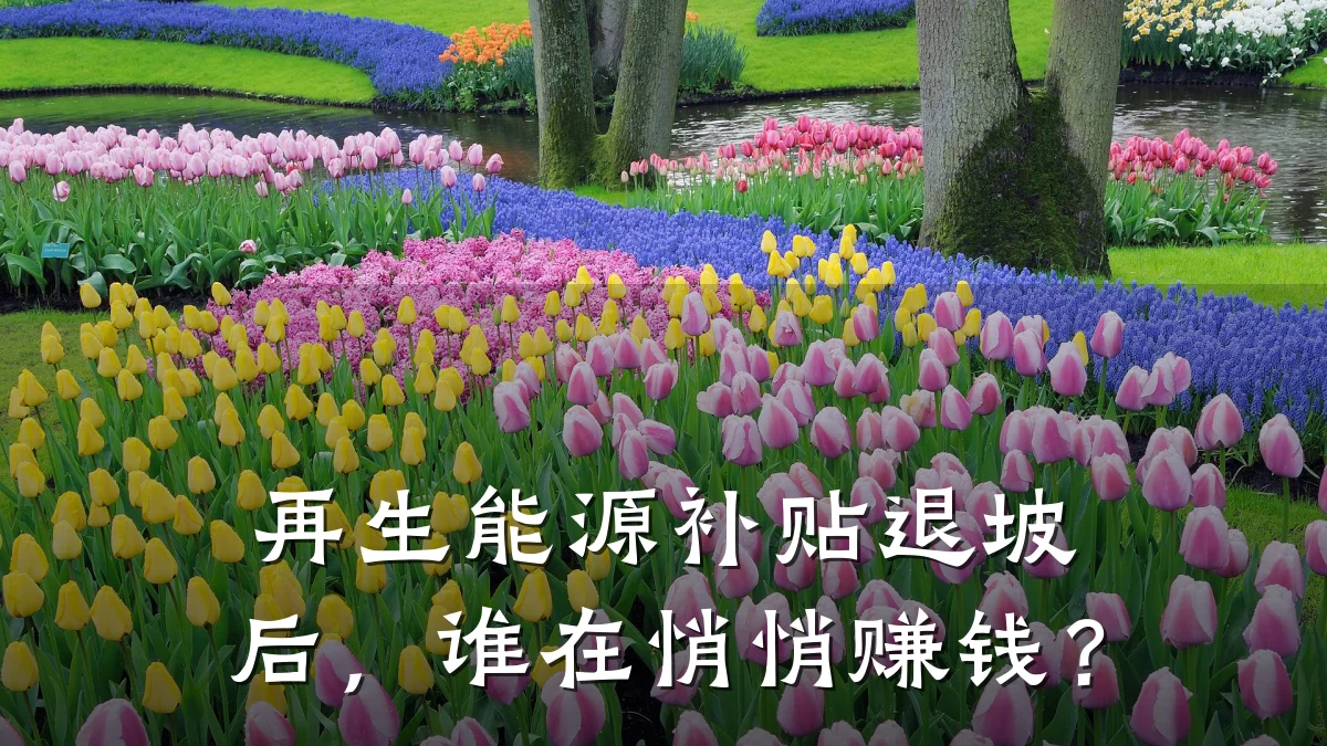 再生能源补贴退坡后,谁在悄悄赚钱?