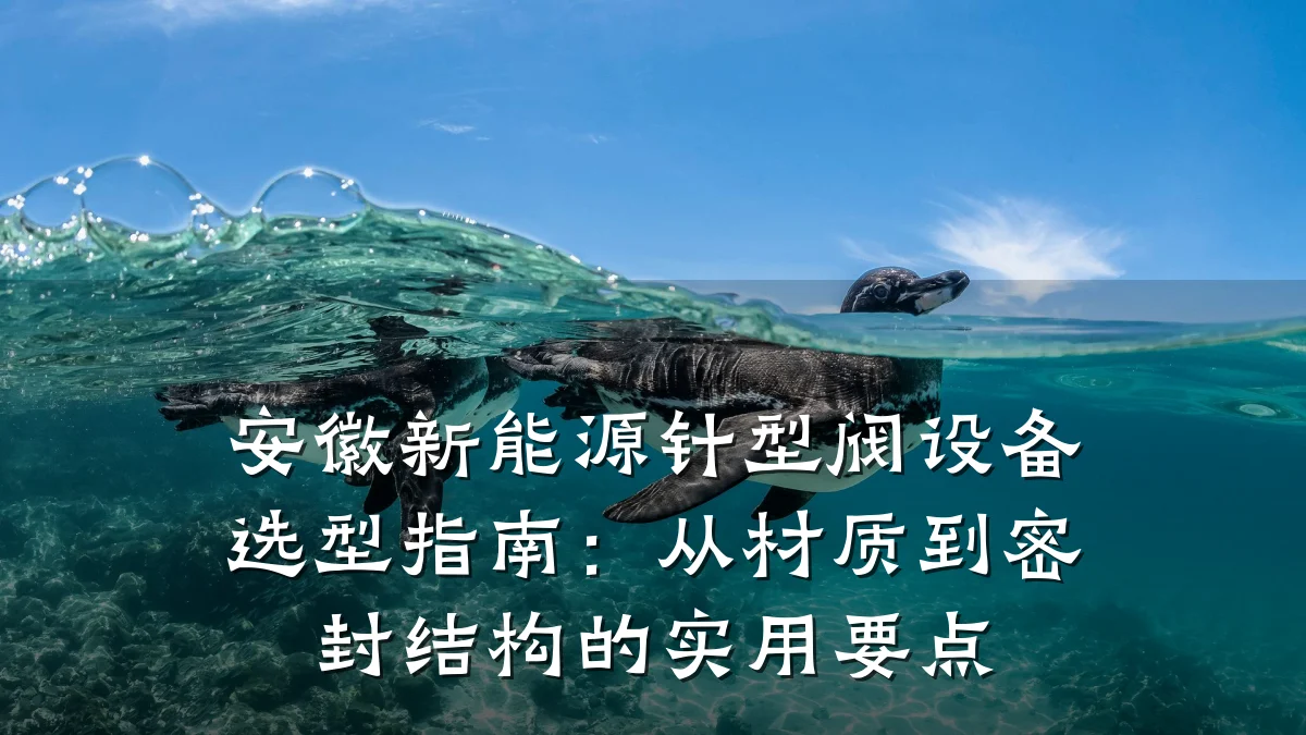 安徽新能源针型阀设备选型指南:从材质到密封结构的实用要点