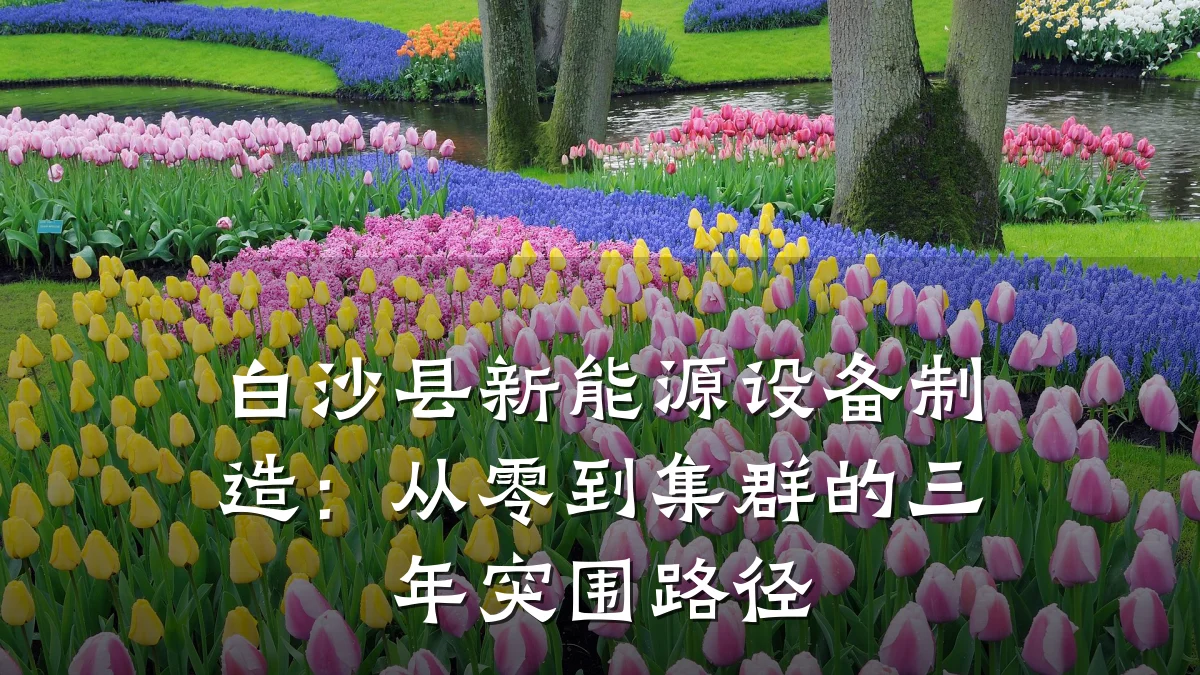 白沙县新能源设备制造:从零到集群的三年突围路径