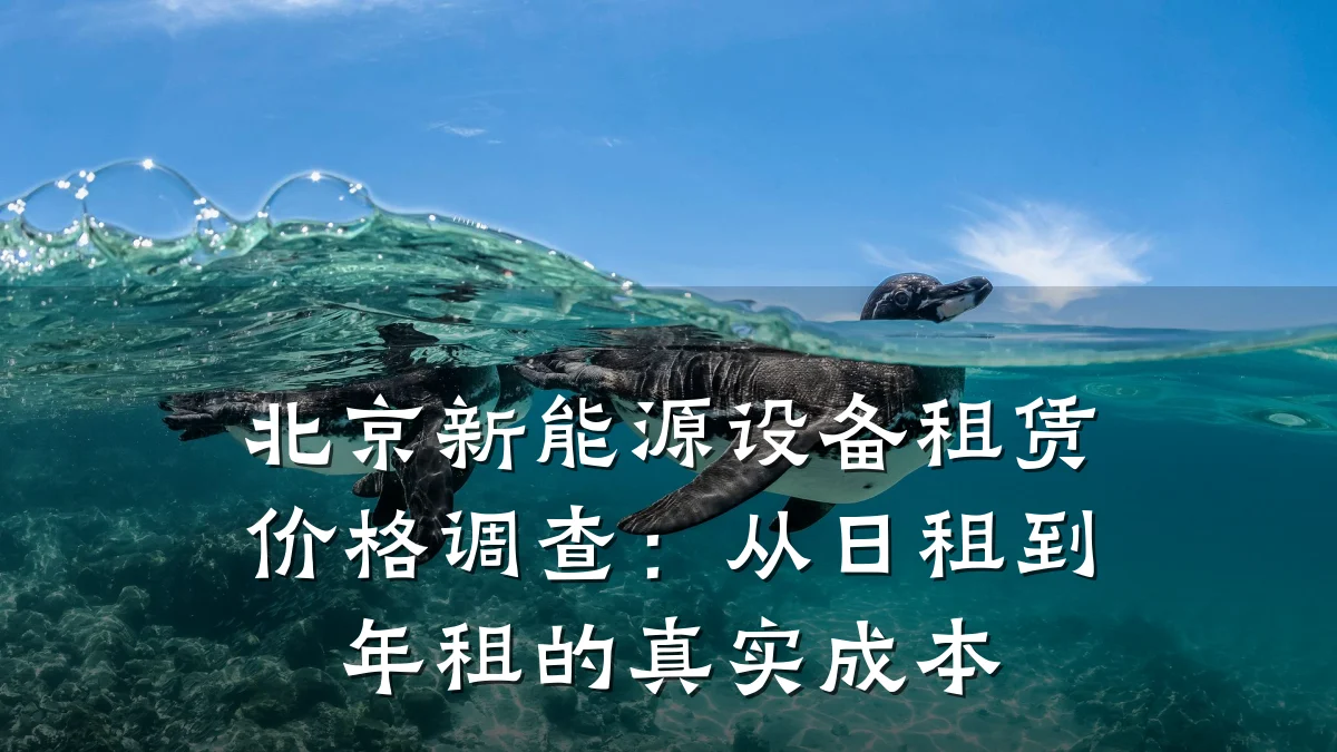 北京新能源设备租赁价格调查：从日租到年租的真实成本