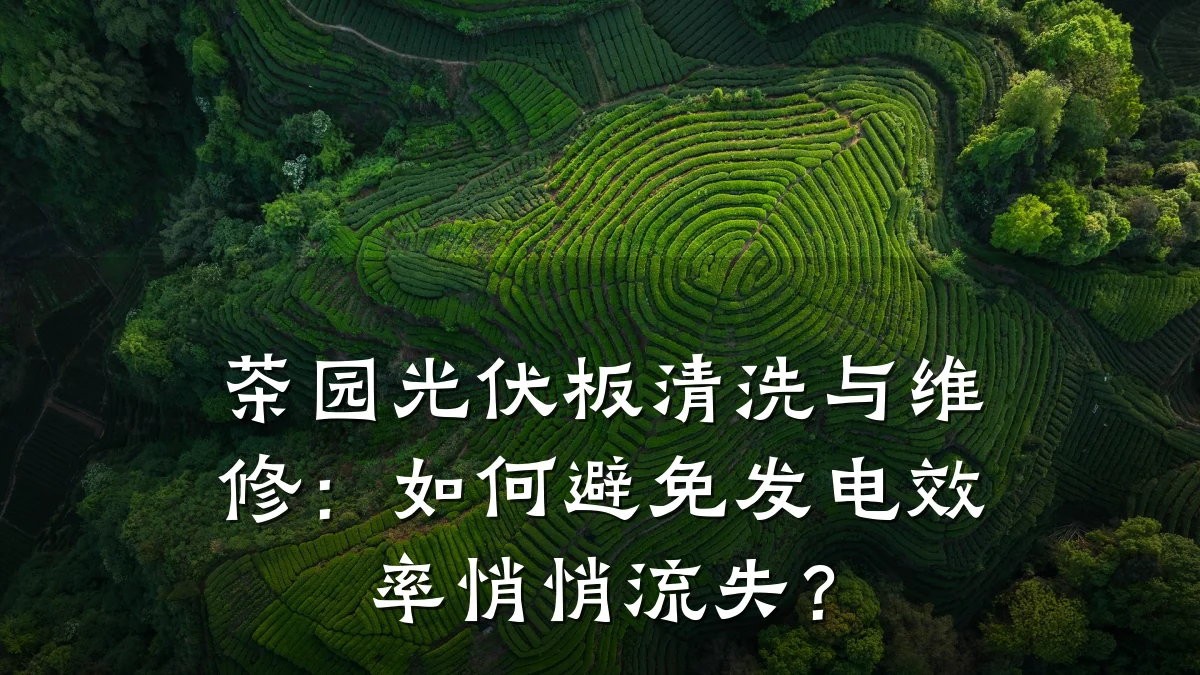 茶园光伏板清洗与维修:如何避免发电效率悄悄流失?