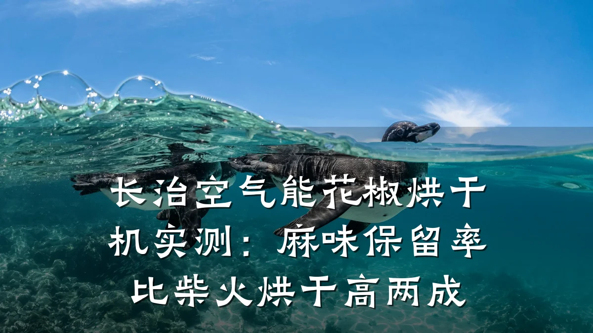 长治空气能花椒烘干机实测:麻味保留率比柴火烘干高两成