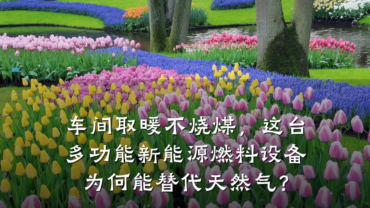 车间取暖不烧煤,这台多功能新能源燃料设备为何能替代天然气?