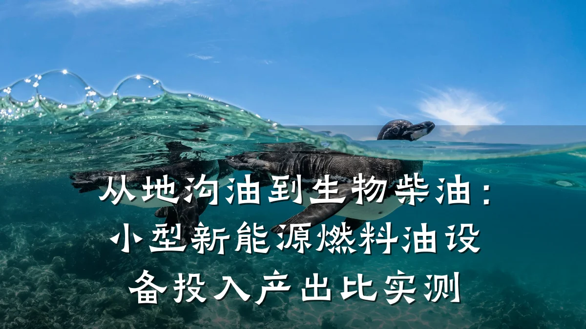 从地沟油到生物柴油:小型新能源燃料油设备投入产出比实测