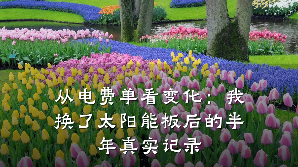 从电费单看变化:我换了太阳能板后的半年真实记录