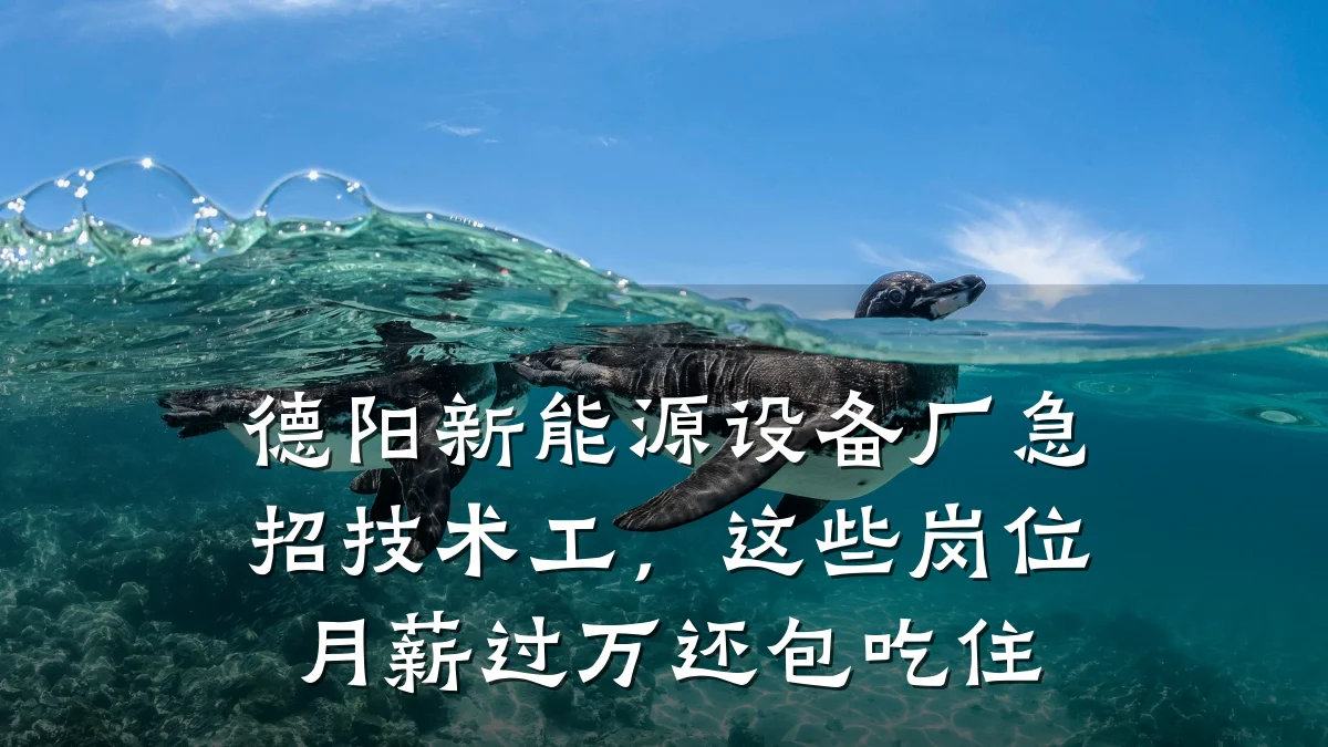 德阳新能源设备厂急招技术工,这些岗位月薪过万还包吃住