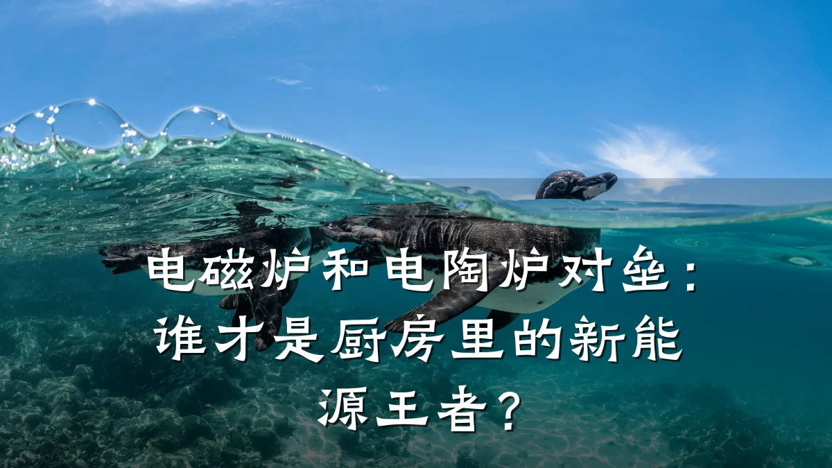 电磁炉和电陶炉对垒:谁才是厨房里的新能源王者?