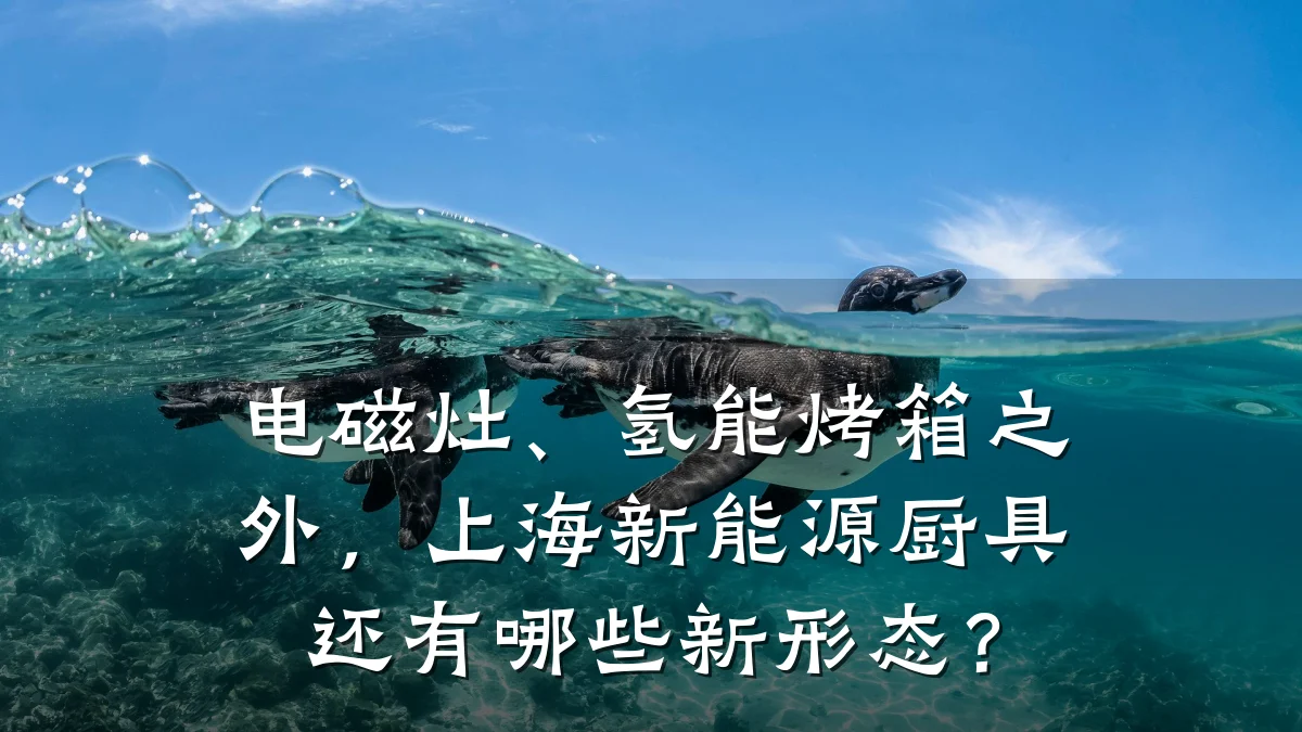 电磁灶、氢能烤箱之外,上海新能源厨具还有哪些新形态?