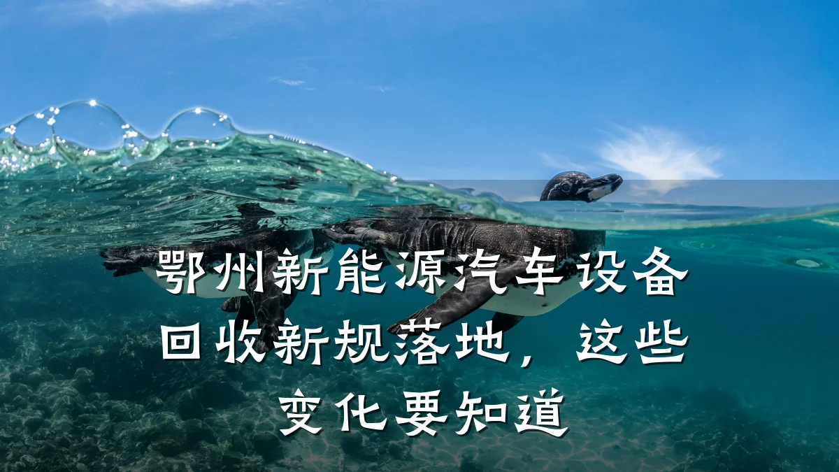 鄂州新能源汽车设备回收新规落地，这些变化要知道
