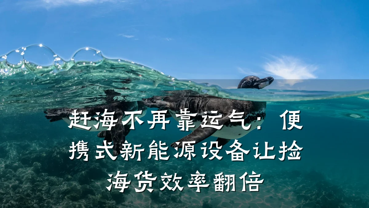 赶海不再靠运气:便携式新能源设备让捡海货效率翻倍