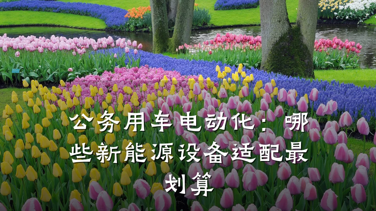 公务用车电动化:哪些新能源设备适配最划算