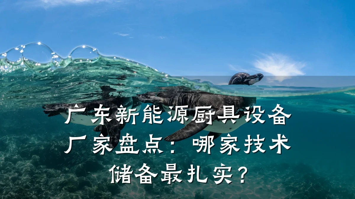 广东新能源厨具设备厂家盘点:哪家技术储备最扎实?