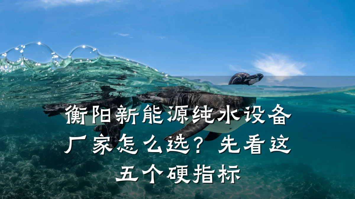 衡阳新能源纯水设备厂家怎么选?先看这五个硬指标