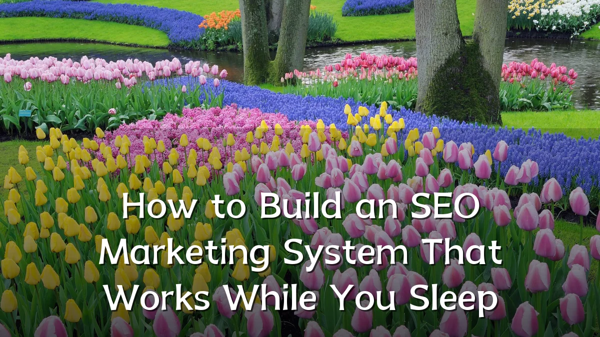 How to Build an SEO Marketing System That Works While You Sleep