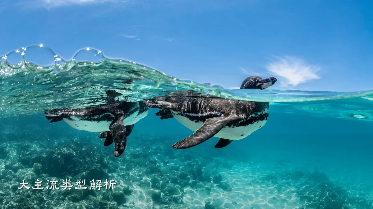 大主流类型解析