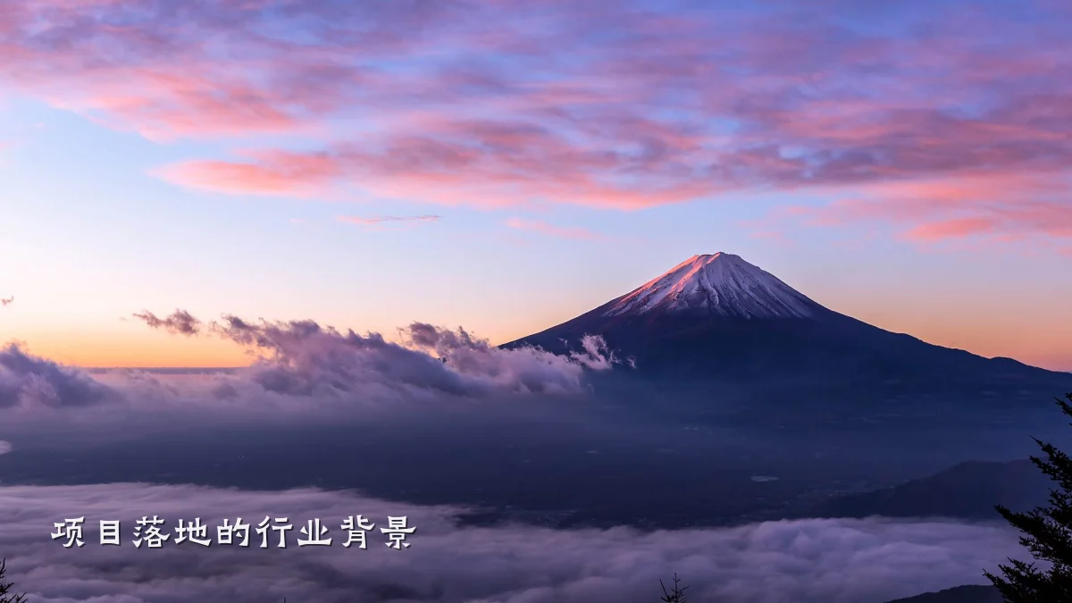 项目落地的行业背景