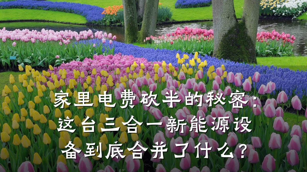 家里电费砍半的秘密:这台三合一新能源设备到底合并了什么?