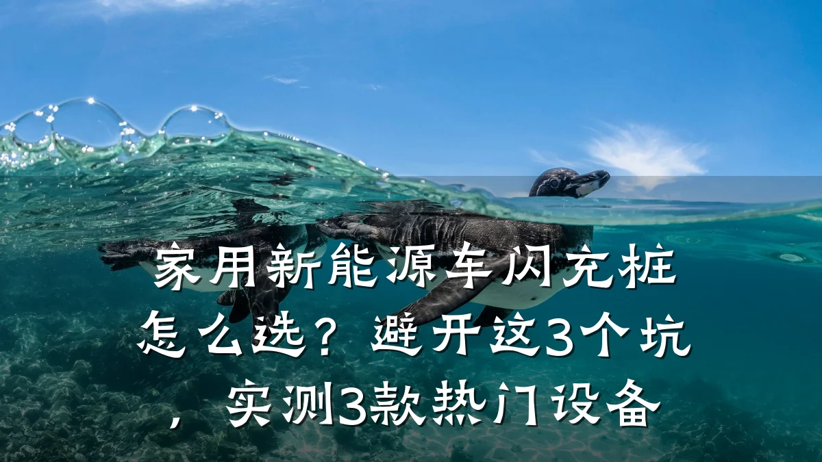 家用新能源车闪充桩怎么选?避开这3个坑,实测3款热门设备