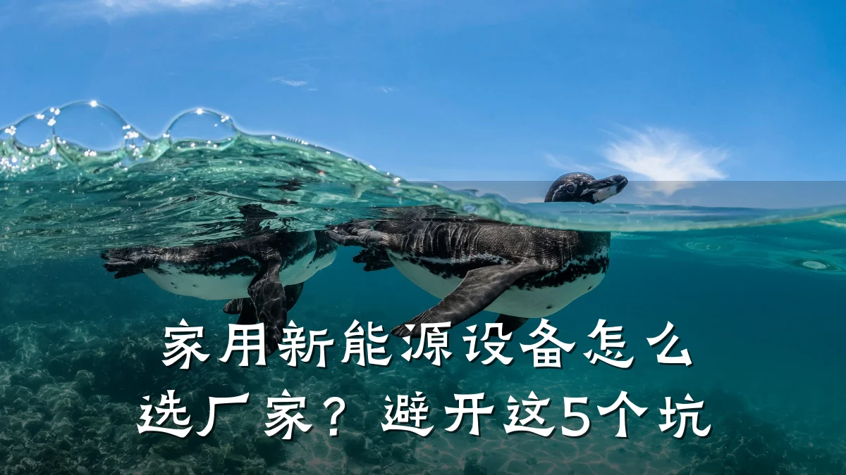 家用新能源设备怎么选厂家?避开这5个坑