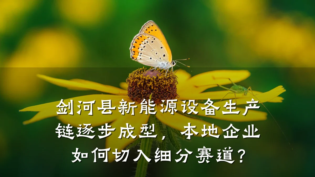 剑河县新能源设备生产链逐步成型，本地企业如何切入细分赛道？