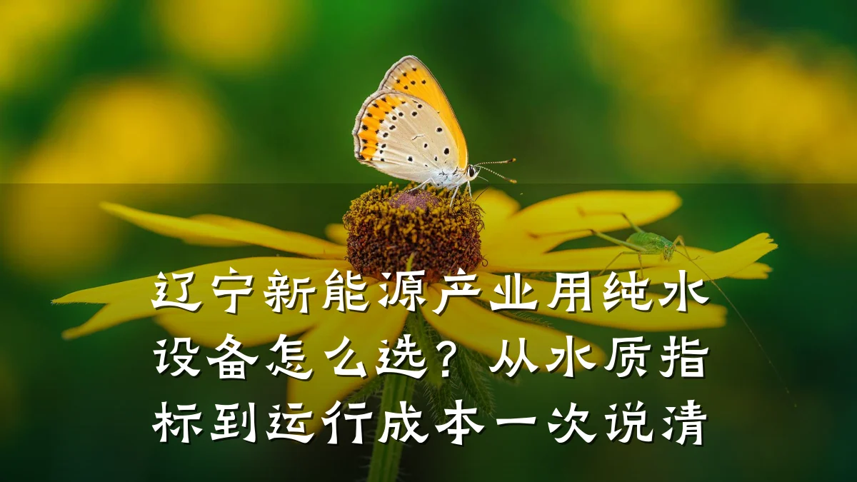 辽宁新能源产业用纯水设备怎么选?从水质指标到运行成本一次说清