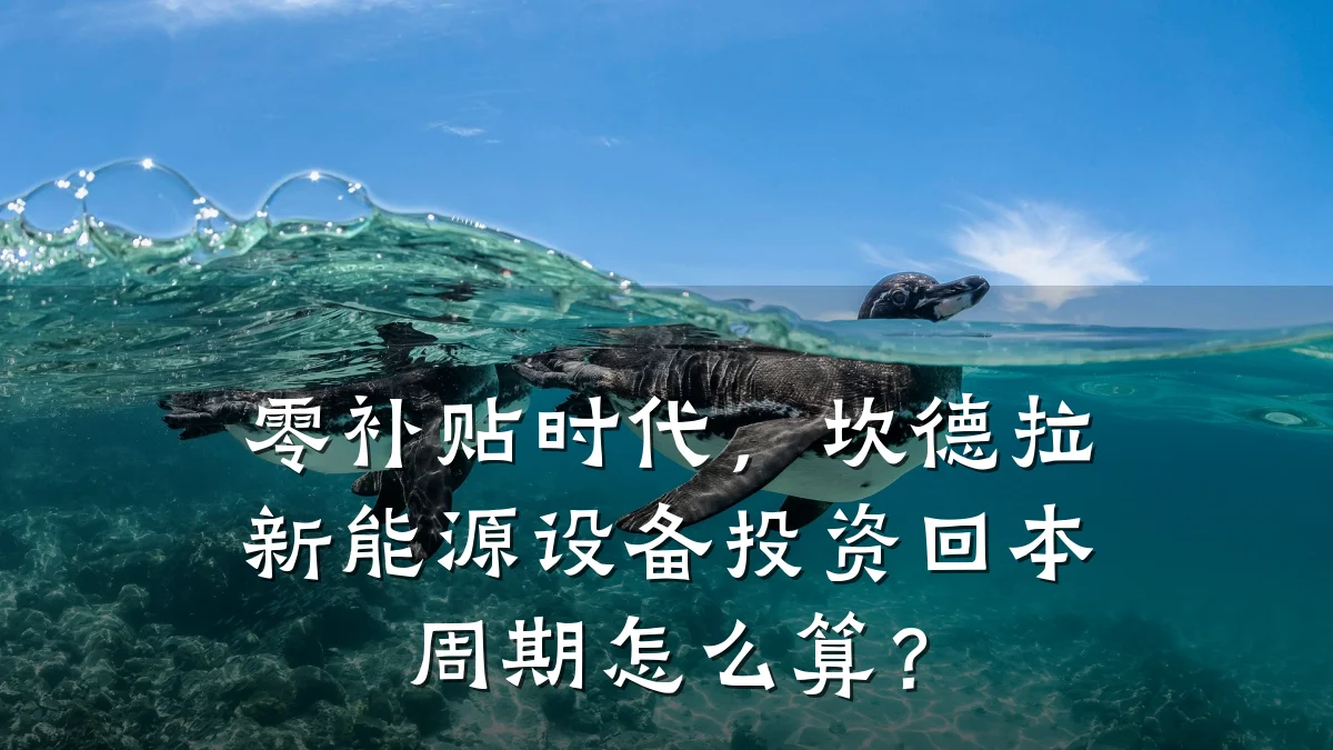 零补贴时代,坎德拉新能源设备投资回本周期怎么算?