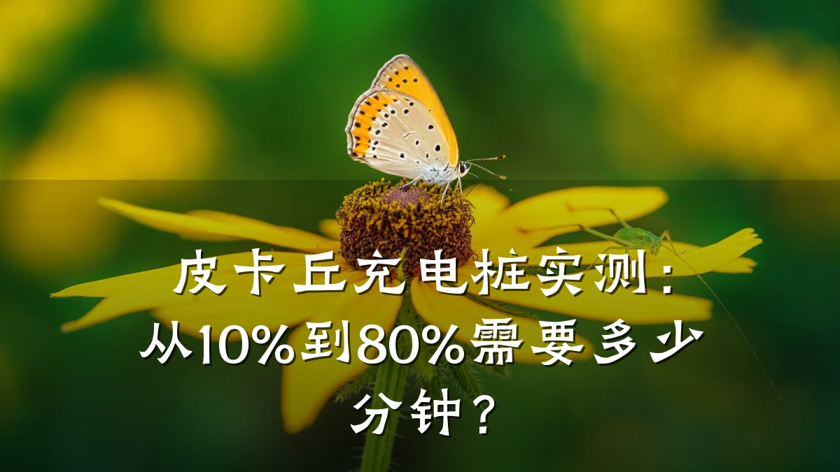皮卡丘充电桩实测:从10%到80%需要多少分钟?