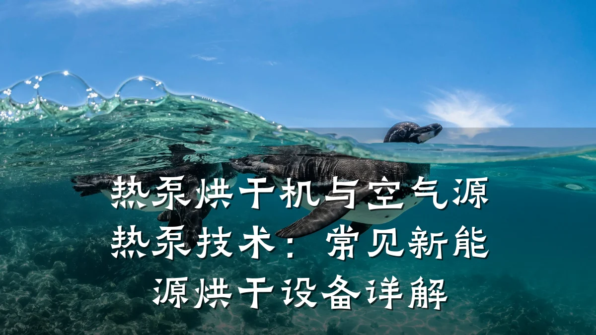 热泵烘干机与空气源热泵技术:常见新能源烘干设备详解