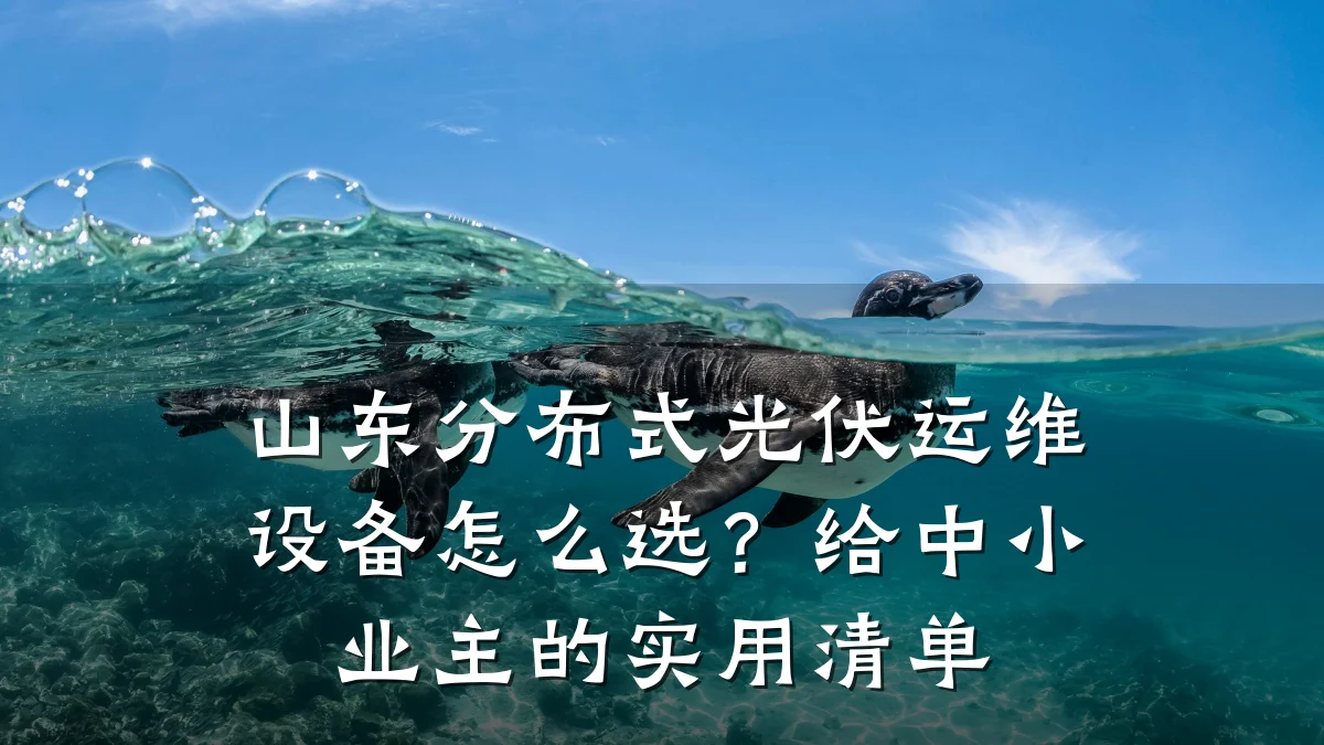 山东分布式光伏运维设备怎么选?给中小业主的实用清单