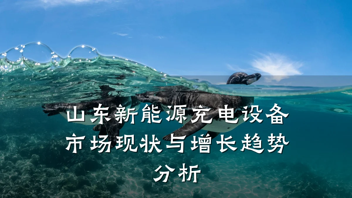 山东新能源充电设备市场现状与增长趋势分析
