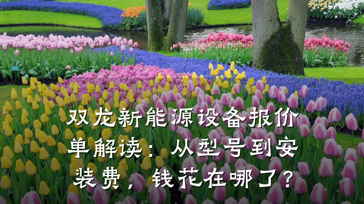 双龙新能源设备报价单解读:从型号到安装费,钱花在哪了?