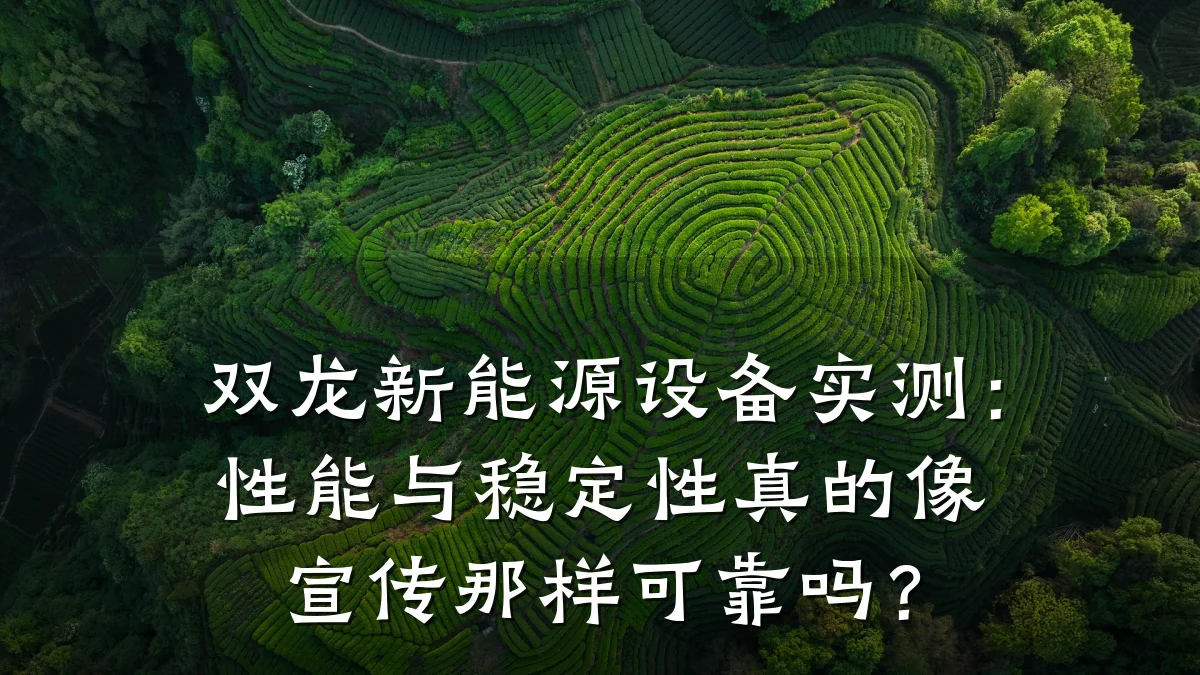 双龙新能源设备实测:性能与稳定性真的像宣传那样可靠吗?