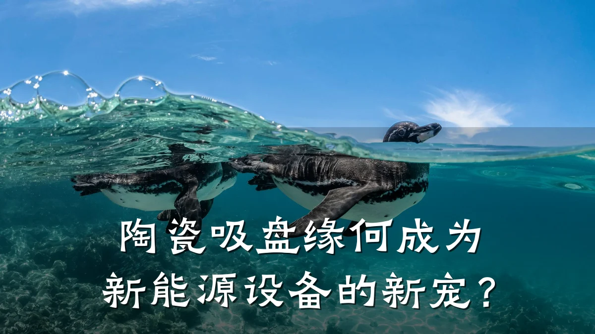 陶瓷吸盘缘何成为新能源设备的新宠?