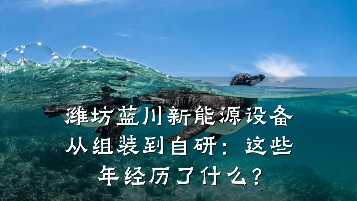 潍坊蓝川新能源设备从组装到自研:这些年经历了什么?