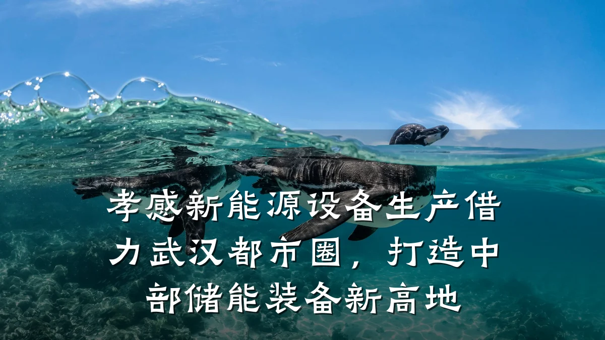 孝感新能源设备生产借力武汉都市圈,打造中部储能装备新高地