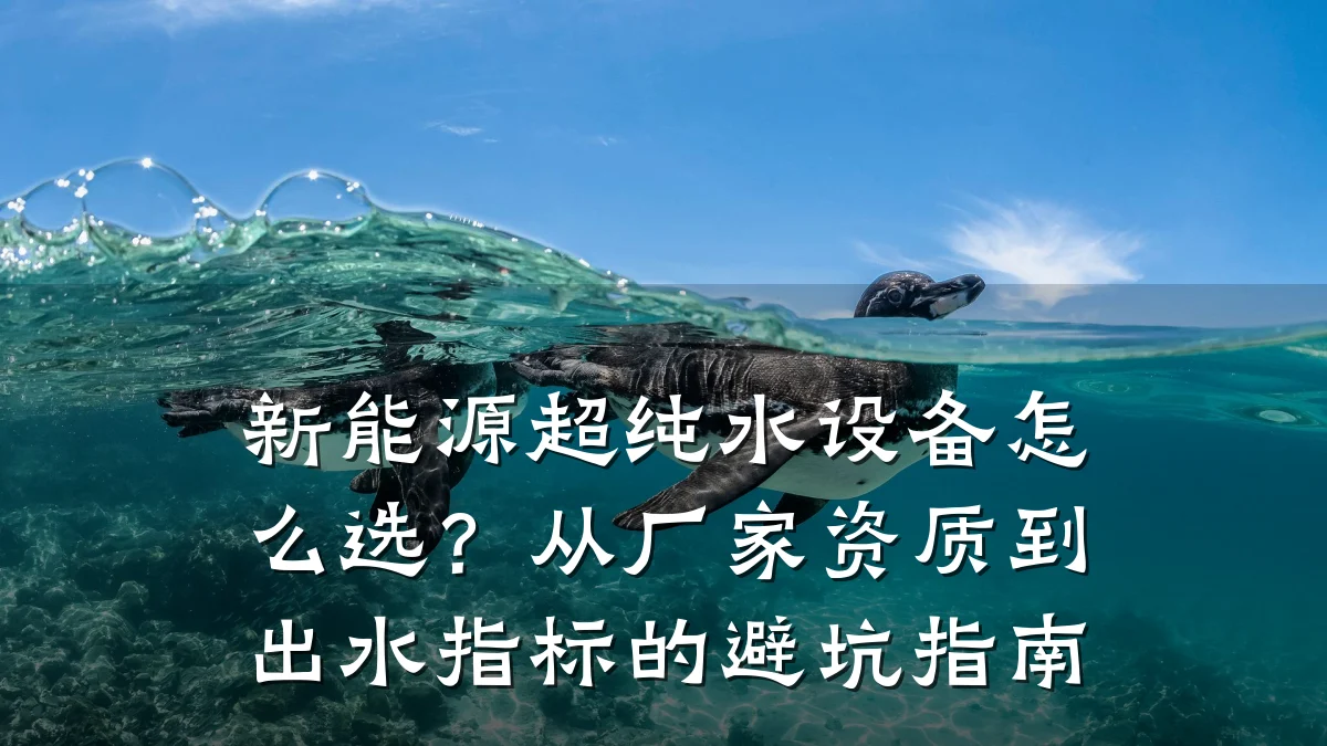 新能源超纯水设备怎么选?从厂家资质到出水指标的避坑指南
